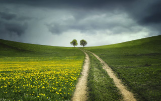 Dirt road green field two - a dirt road free wallpaper for desktop