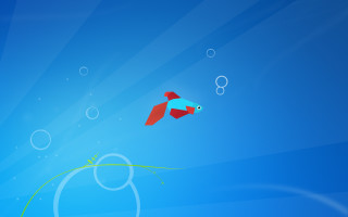 Red fish flying over water - blue sky free wallpaper for desktop