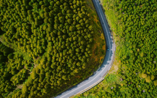 Winding road forest car nature - postminimalism free wallpaper for desktop