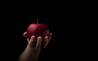 Person apple black background food - an apple free wallpaper