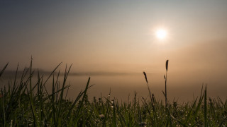 Sunshine water grass mountain forest - a foggy sky in the background free wallpaper for desktop