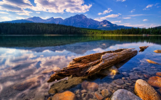 Log shore lake mountains blue - the shore of a lake free wallpaper for desktop