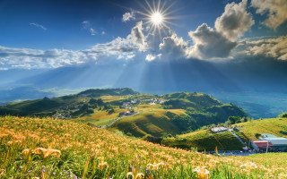 Flower field hill sunbeam clouds - god ray free wallpaper