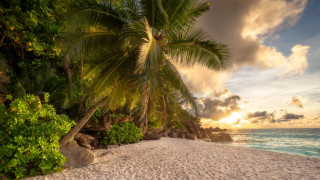 Beach palm sunset clouds rocks 2 - a few rock free wallpaper