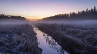 Stream forest sunset fog mountain - a field next free wallpaper