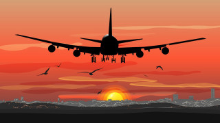 Sunset plane city birds matte - over a city free wallpaper