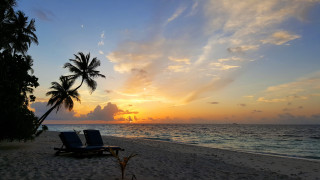 Lawn chairs beach sunset palm - carl critchlow free wallpaper for desktop