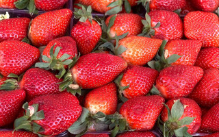 Strawberry basket closeup food berry - berry free wallpaper for desktop