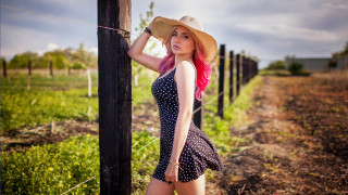 Pink hair fence field fashion - leaning free wallpaper for desktop
