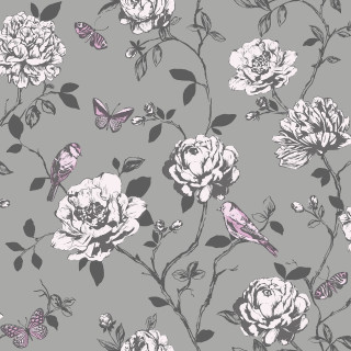 Gray white flower butterfly pink - a grey background free wallpaper