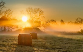 Hay bales foggy sunset volumetric - volumetric light free wallpaper for desktop
