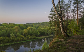 River forest half moon dusk - a forest next free wallpaper for desktop