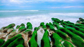 Beach green rocks water sky - the background and a sky free wallpaper