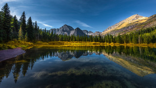 Mountain lake pine forest blue - a mountain lake free wallpaper