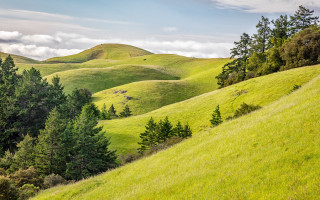 Grassy hill trees cloudy sky 2 - a grassy hill free wallpaper for desktop