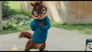 Squirrel blue sweater glasses clock - sophisticated free wallpaper