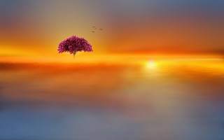 Tree sunset bird water fantasy - over the water free wallpaper for desktop