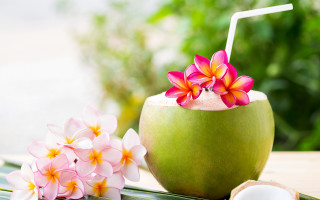 Green coconut drink flower table - a straw free wallpaper