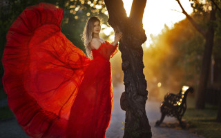 Woman red dress forest bench 3 - fashion photography free wallpaper