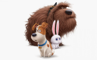 Dog cat poster furry animated - a dog and a cat free wallpaper