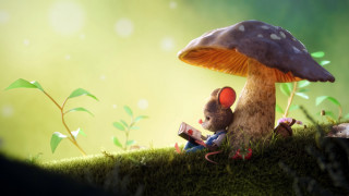 Mouse grass mushroom book fantasy - the grass next free wallpaper