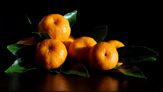 Oranges leaves still life food - food photography free wallpaper