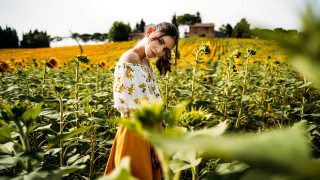 Sunflower field woman house autumn - a house in the background free wallpaper