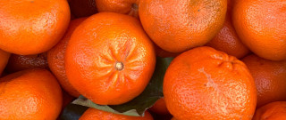 Orange pile leaves top bolwert - top of them free wallpaper