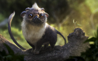 Monkey tree branch furry animal - a blurry background of trees and bushes free wallpaper for desktop