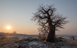 Rocky tree sunset mountains moon - a rocky area free wallpaper