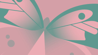 Pink green abstract butterflies vector - back side free wallpaper for desktop