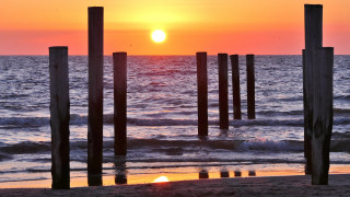 Sunset ocean pier bird sky - the water and a bird free wallpaper