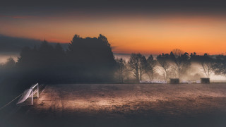 Foggy field trees fence sunset 2 - a foggy field free wallpaper