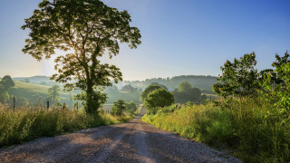 Dirt road tree field fence - a dirt road free wallpaper for desktop