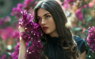 Annabel kidston purple flower blurry - annabel kidston free wallpaper for desktop