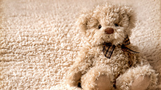 Teddy bear white carpet bow - a teddy bear free wallpaper