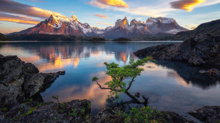 Tree shore lake mountains sunset - a colorful sky free wallpaper