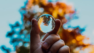 Person glass ball trees fire - a glass ball free wallpaper