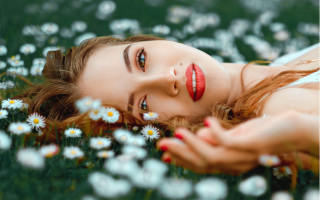 Daisy field woman blossoms festive - a field of daisies free wallpaper