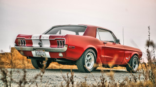Red mustang road side field - dry grass free wallpaper