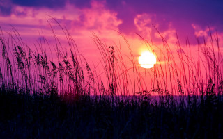 Sunset purple sky grass mountain - tall free wallpaper