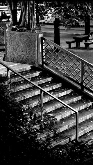 Man skateboard rail tree bench - a man riding free wallpaper for mobile