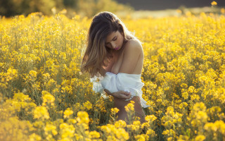 Woman field yellow flower autumn - yellow flower free wallpaper
