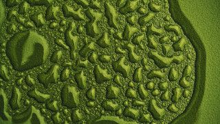 Green water drops kinetic pointillism - kinetic pointillism free wallpaper