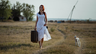 Woman dress suitcase dog liminal - a dirt road in a field free wallpaper