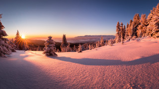 Snowy mountain trees sunset city 2 - tree and a sun free wallpaper