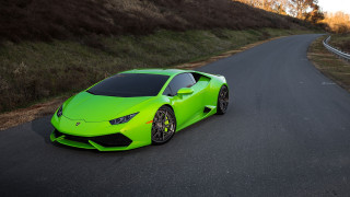Green sports car night road - grass and bushes free wallpaper