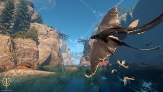 Large bird flying water forest - a large bird free wallpaper for desktop