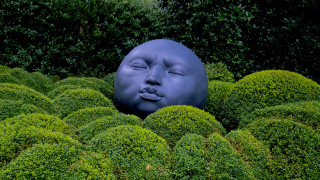 Blue face hedge garden surrealist - a blue face free wallpaper for desktop