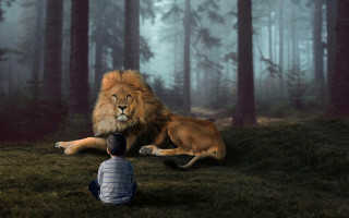 Lion man blue shirt forest - a lion free wallpaper for desktop